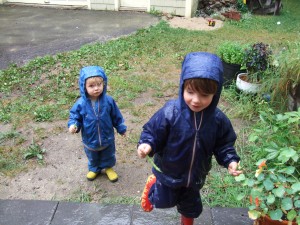 Picking Green Beans in the Rain, Aug. 25, 2010, 4