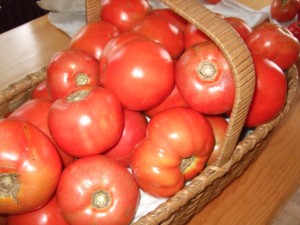 Tomatoes in Bulk, Aug. 25, 2010