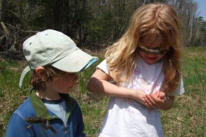 Picking Fiddleheads, May 7, 2011