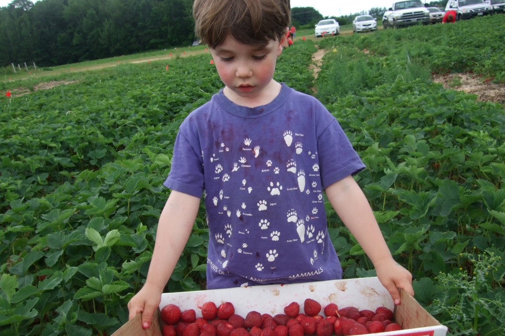 Connor's Jam, July 2011