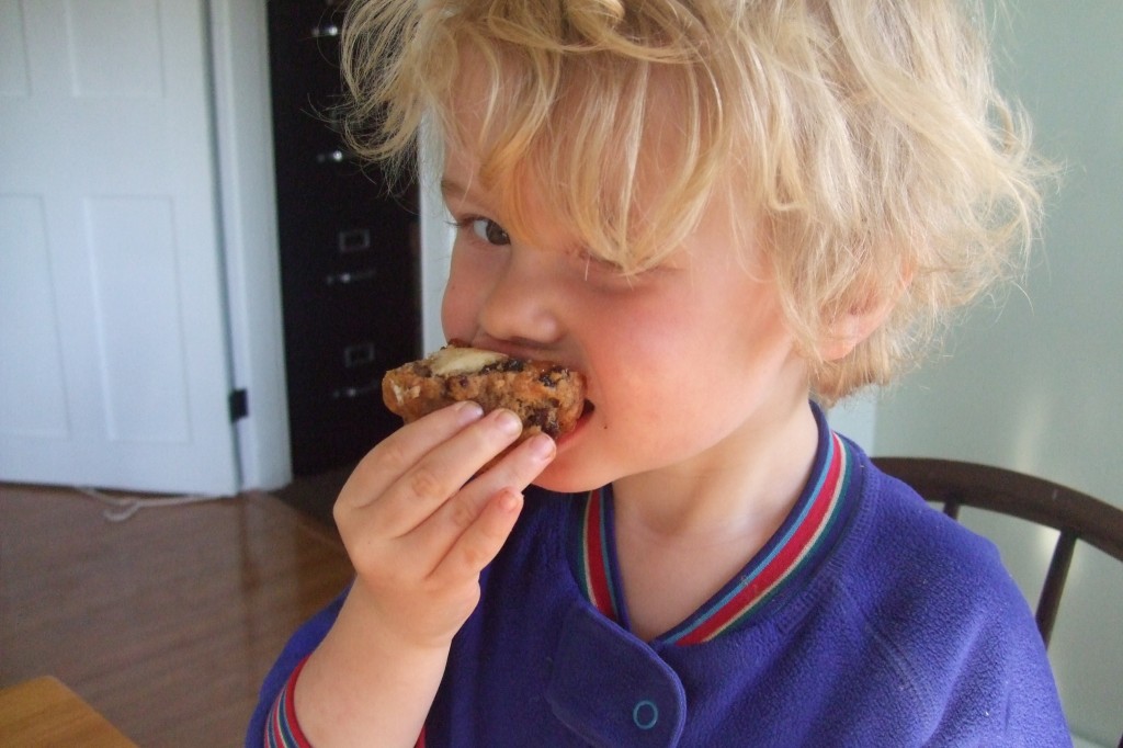 Ben's birthday 2011/Everyday Apple-carrot muffins