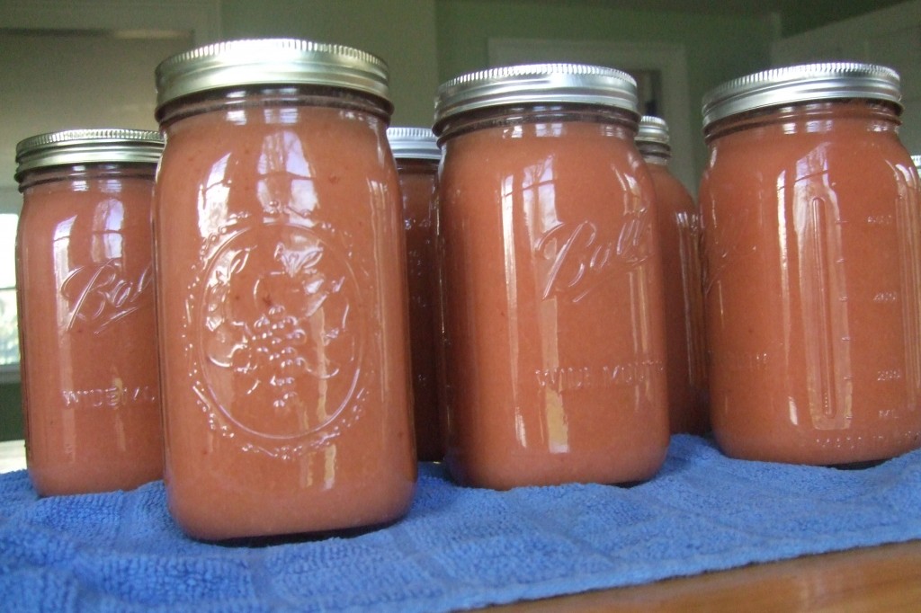 apple picking/apple sauce, 2011-2012
