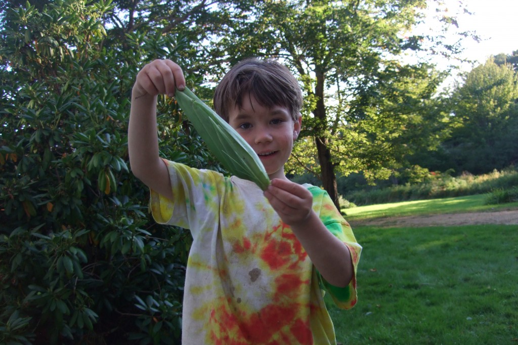 Connor's corn